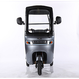 Triciclu Electric RDB Panda 5, 650W, 60V20Ah, Fără permis